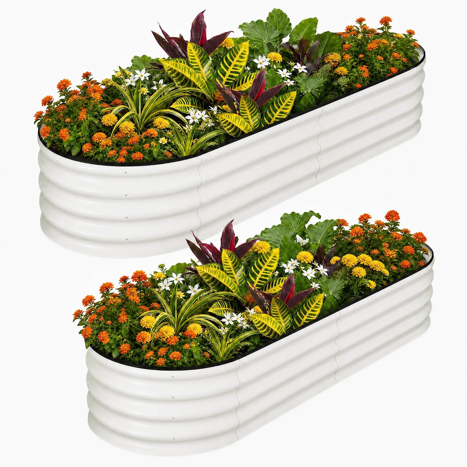 Planter Raised Metal - Tacleekii 6X3X1FT Oval Galvanized Raised Garden