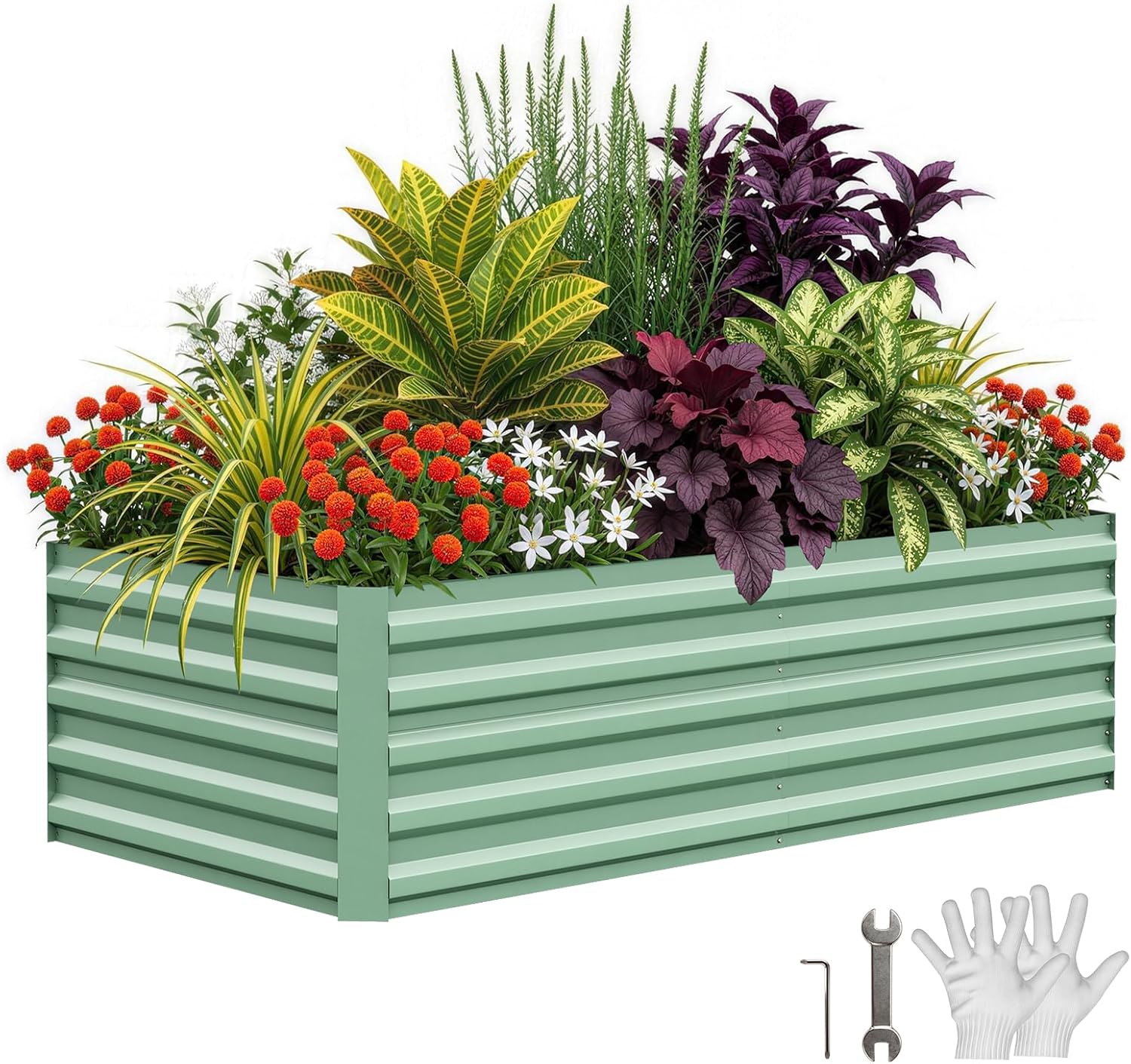 Tacleekii 8x4x2ft Galvanized R - Planter Raised Metal ulasan dan harga